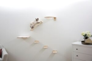 MUR D’ESCALADE ROCHEUX