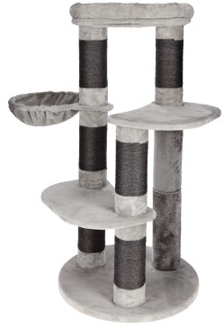 ARBRE DE CAT BENJI – Image 3