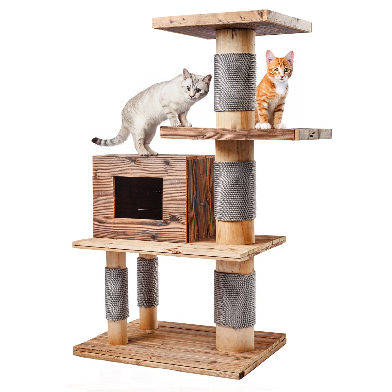Outdoor Woody Cat Tree – Image 2