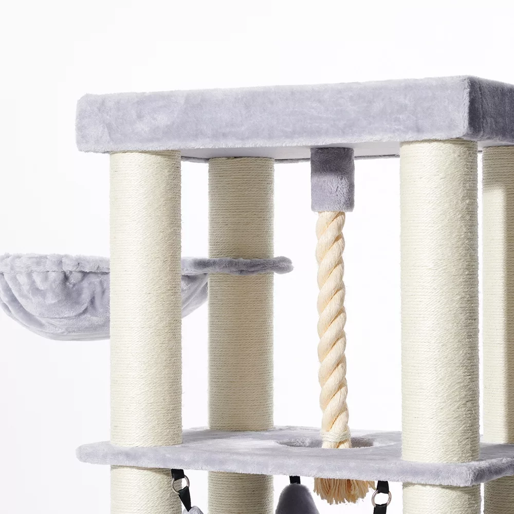 Le Palais Ordu pour Maine Coon – Image 4