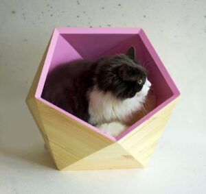 Catissa Single Geobed