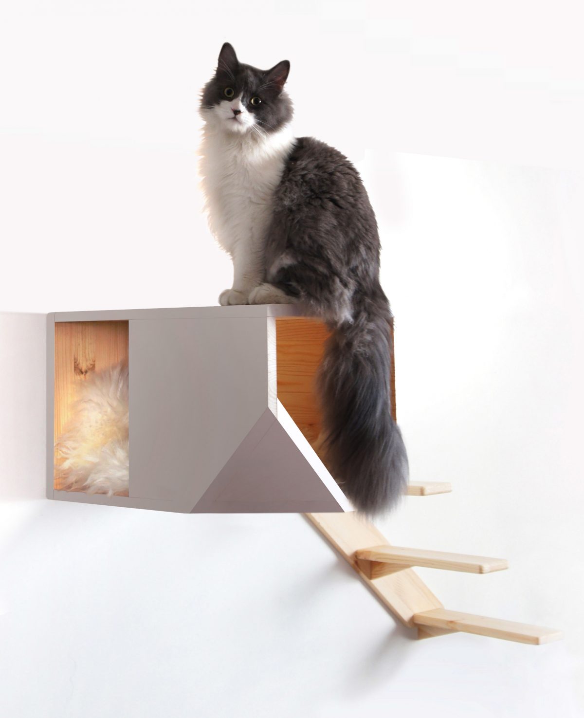 Arbre à chat mural Catissa Module